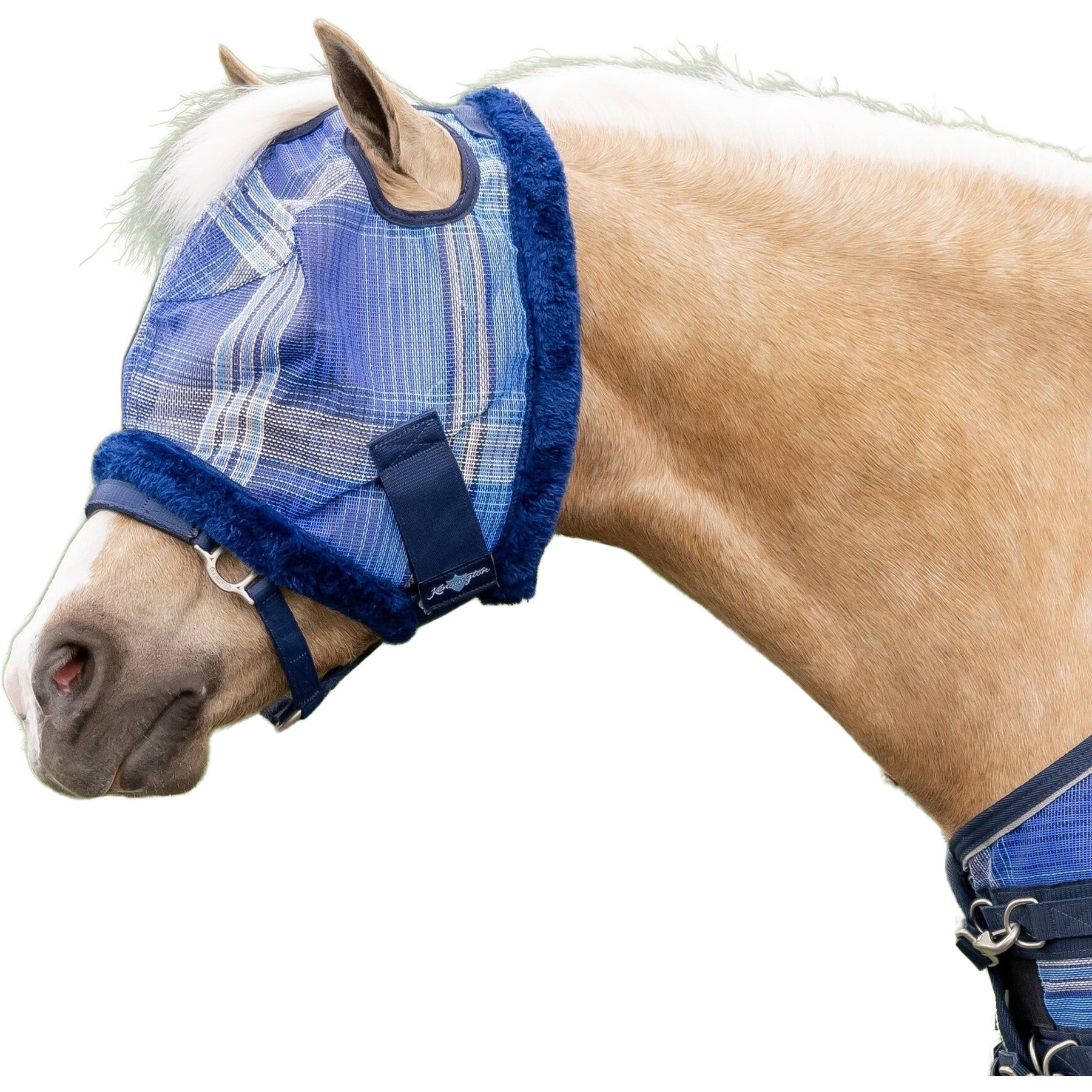 Kensington Protective Products Mini & Pony Fly Mask with Fleece Trim, Kentucky Blue, Pony