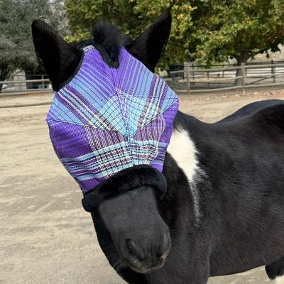 Show full view: Kensington Protective Products Mini & Pony Fly Mask with Soft Ears & Fleece Trim, Lavender Mint, Large slide 2 of 7