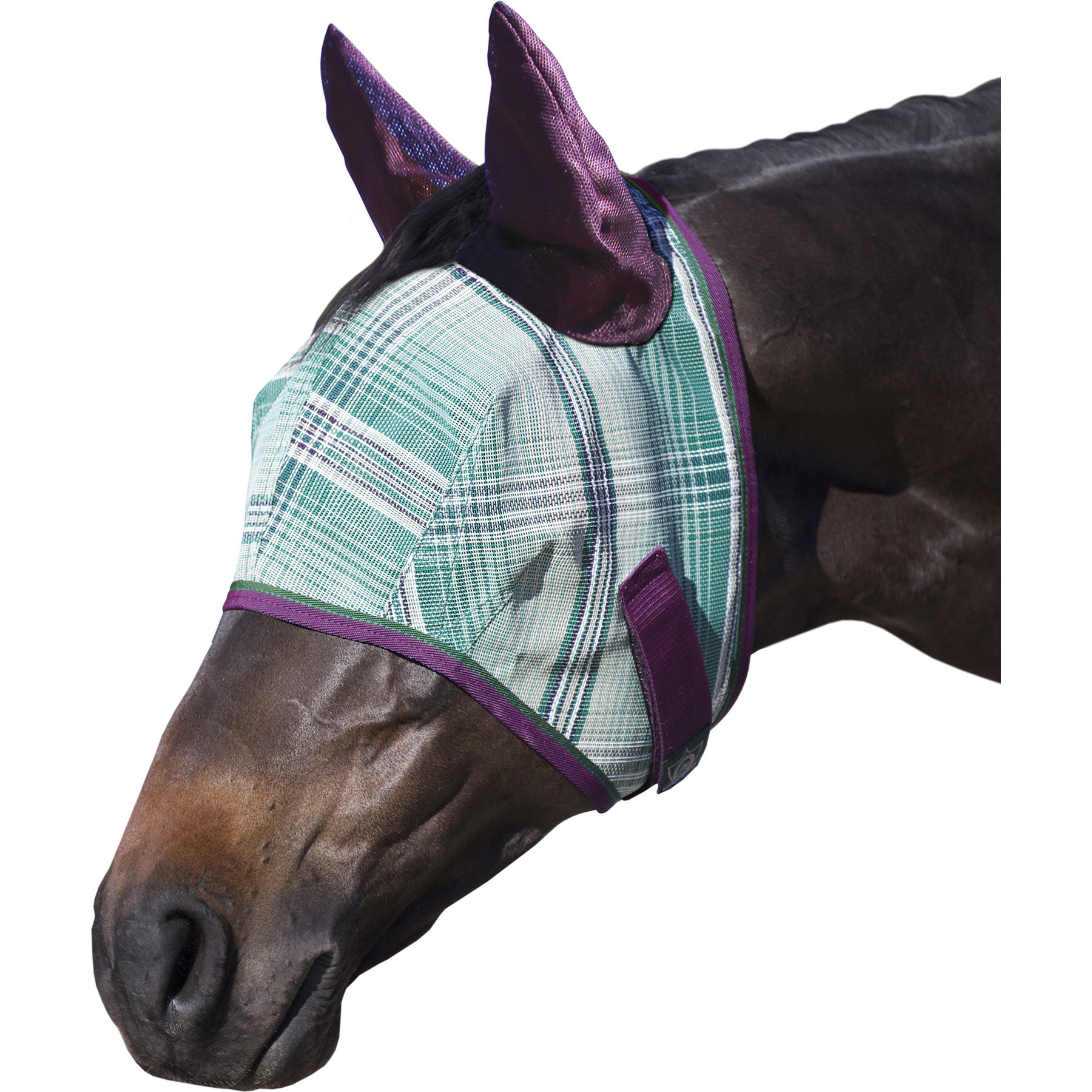 Kensington Protective Products Horse Fly Mask with Web Trim & Mesh Ears, Imperial Jade, Horse