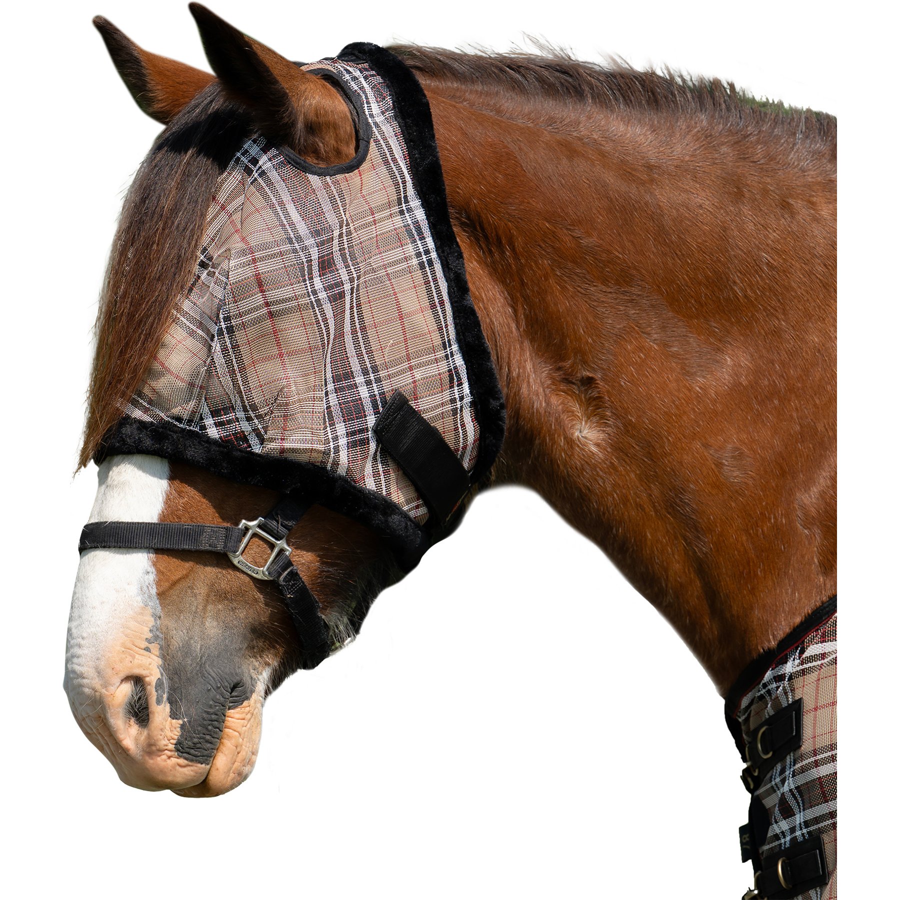 Kensington Protective Products Horse Fly Mask with Fleece Trim, Deluxe Black, Draft