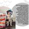 Show in main carousel: I and Love and You Top That Thrive Turkey Recipe in Gravy Wet Dog Food Topper, 3-oz pouch, case of 12 slide 5 of 7