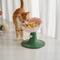 Show in main carousel: Fairela Adjustable Flower Rim Elevated Dog & Cat Bowl, Small: 2-cup, Pink/Green slide 4 of 10