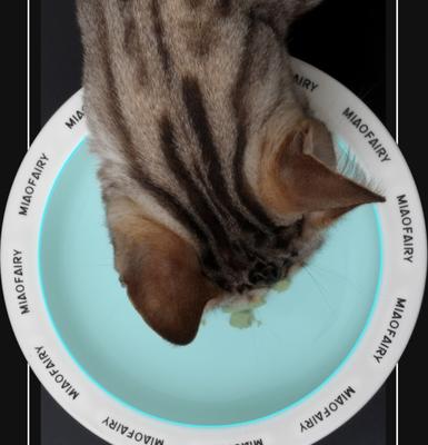 Show full view: Fairela MiaoFairy Roman Column Checkered Elevated Dog & Cat Bowl, Black/White, Medium: 4-cup slide 4 of 7