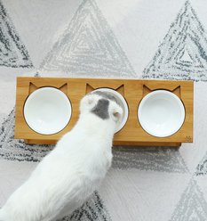 Fairela Bamboo & Wood Triple Ceramic Elevated Dog & Cat Bowl, Medium: 4-cup slide 2 of 9