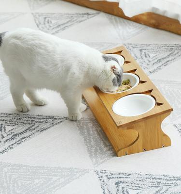 Show full view: Fairela Bamboo & Wood Triple Ceramic Elevated Dog & Cat Bowl, Medium: 4-cup slide 7 of 10