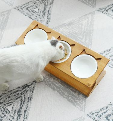 Show full view: Fairela Bamboo & Wood Triple Ceramic Elevated Dog & Cat Bowl, Medium: 4-cup slide 4 of 10