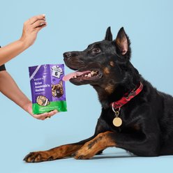 Bocce's Bakery Brian Asamoah’s Nachos Beef Adult Soft & Chewy Dog Treats, 6-oz bag slide 2 of 5