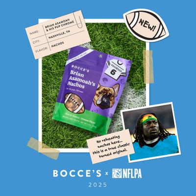Show full view: Bocce's Bakery Brian Asamoah’s Nachos Beef Adult Soft & Chewy Dog Treats, 6-oz bag slide 5 of 6