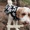 Show in main carousel: Lucy & Co. Teddy Far Out Reversible Dog Vest, X-Large slide 3 of 7