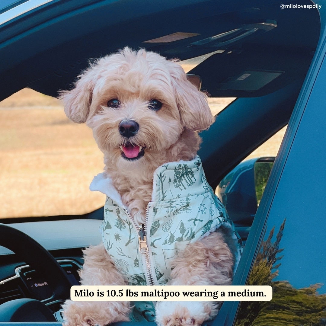 Lucy & Co. Teddy Camp Out Reversible Dog Vest