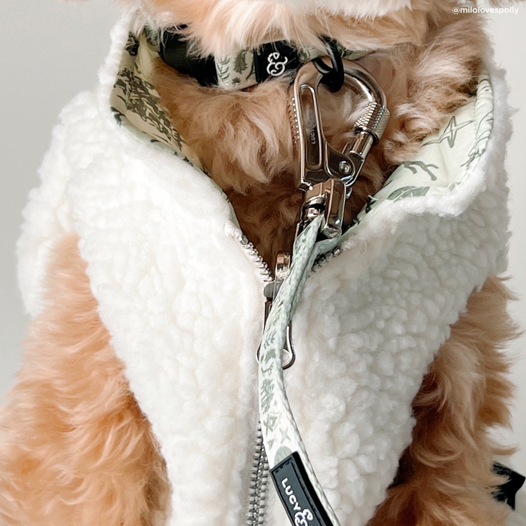 Lucy & Co. Teddy Camp Out Reversible Dog Vest