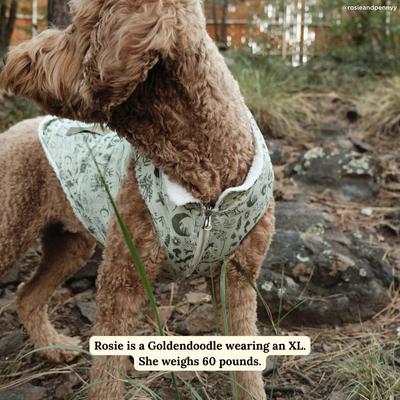 Show full view: Lucy & Co. Teddy Camp Out Reversible Dog Vest, Medium slide 2 of 7