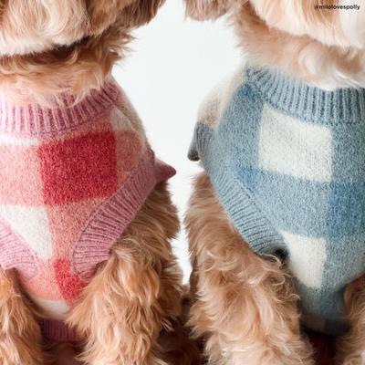 Show full view: Lucy & Co. Take a Bow Dog Sweater, Medium slide 4 of 7