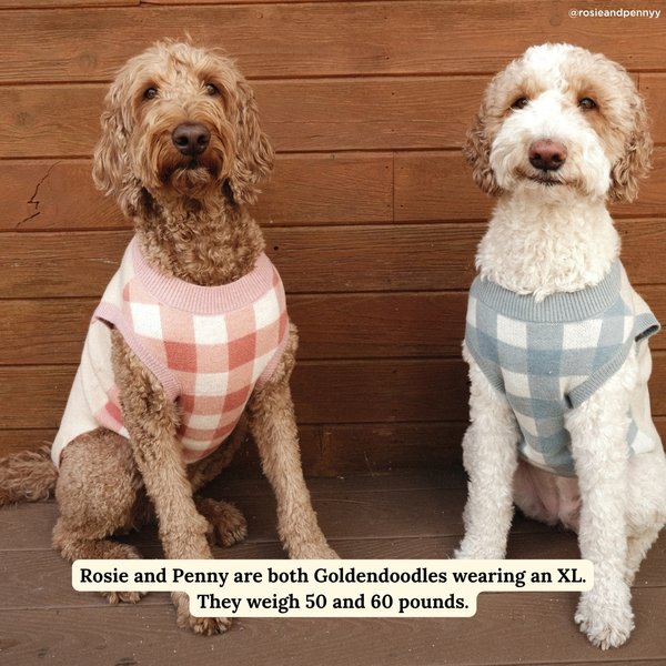 Show full view: Lucy & Co. Take a Bow Dog Sweater, Small slide 3 of 7