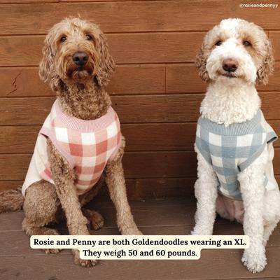 Show full view: Lucy & Co. Take a Bow Dog Sweater, Medium slide 3 of 7