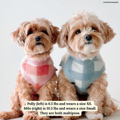 Show full view: Lucy & Co. Take a Bow Dog Sweater, Medium slide 2 of 7