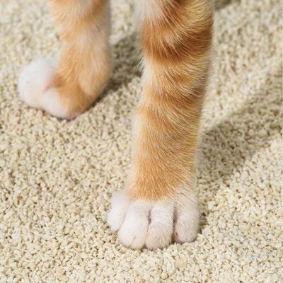 Show full view: Michu Kitten & Small Animal Litter Unscented Natural Clumping Tofu Cat Litter, 5.5-lb bag slide 8 of 11