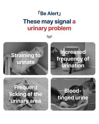 Show full view: Michu Color Changing Indicators Cat Health Monitoring Pellets, 0.045-lb bag slide 10 of 11