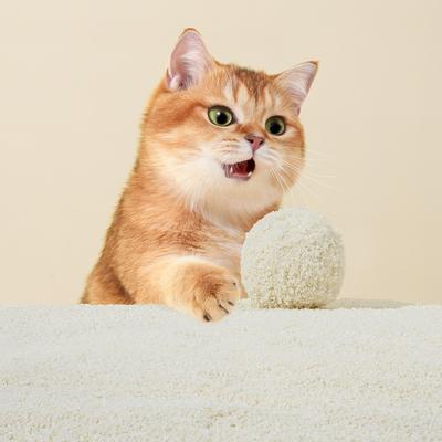 Show full view: Michu Wonder & Auto-Box Friendly Unscented Clumping Plant-Based Cat Litter, 5.5-lb bag slide 6 of 10