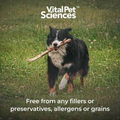 Show full view: Vital Pet Sciences PCQ Pet Powder Pain Relief & Allergy Support Supplement for Dogs & Cats, 0.56-oz jar slide 3 of 10