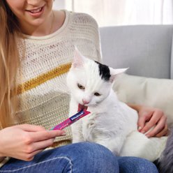 Vitakraft Lick N Lap Salmon Cat Lickable Treats, 8.4-oz bag, case of 5 slide 2 of 4