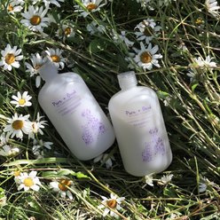 Pure + Good Lavender + Chamomile Dog & Cat Shampoo & Conditioner Set, 16-fl oz bottle, 16-oz bottle slide 2 of 6