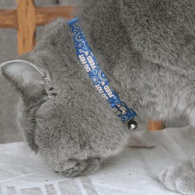 Show full view: Kittyrama Do Not Feed Cat Collar, Indigo slide 5 of 8