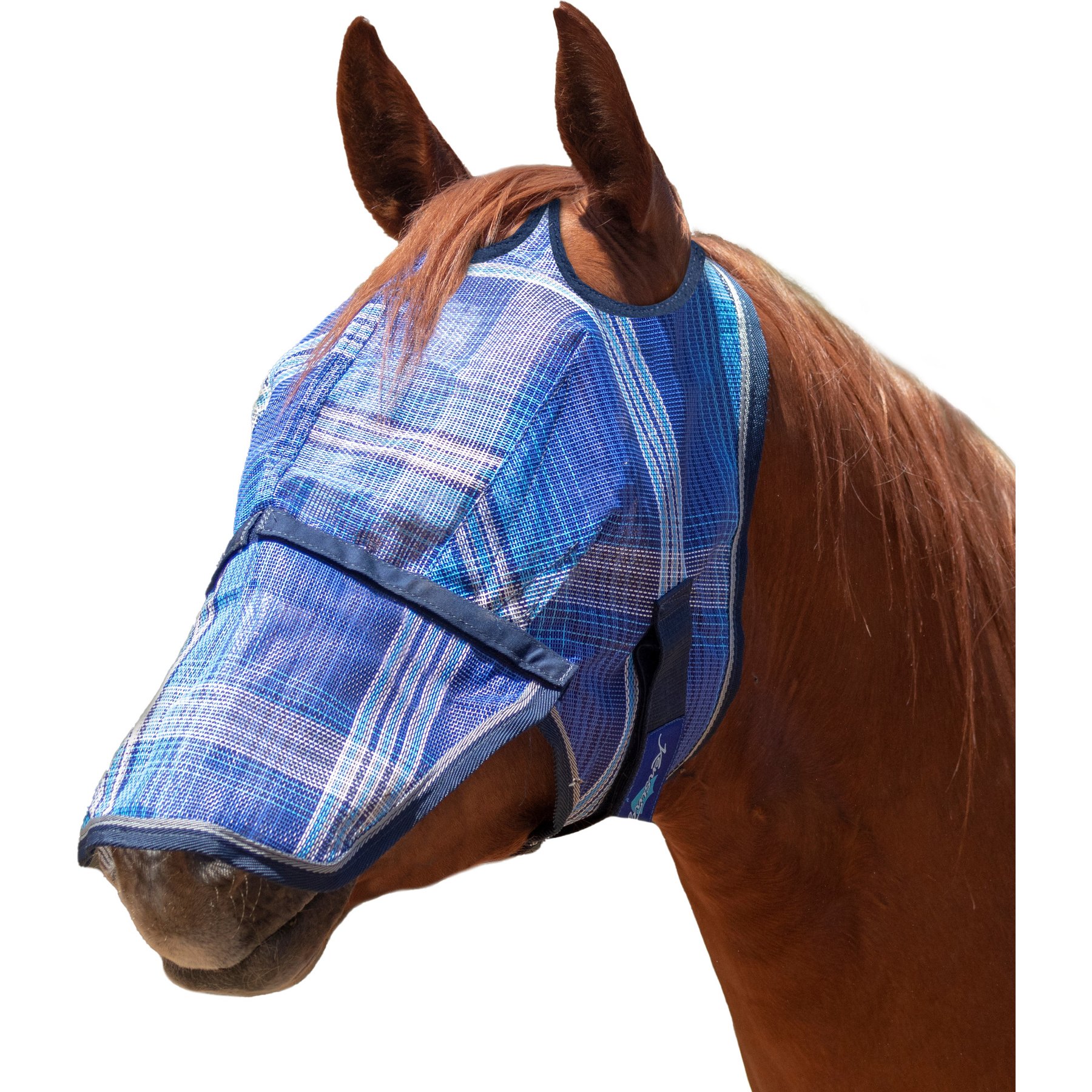 Kensington Protective Products Horse Fly Mask with Web & Nose, Kentucky Blue, Horse