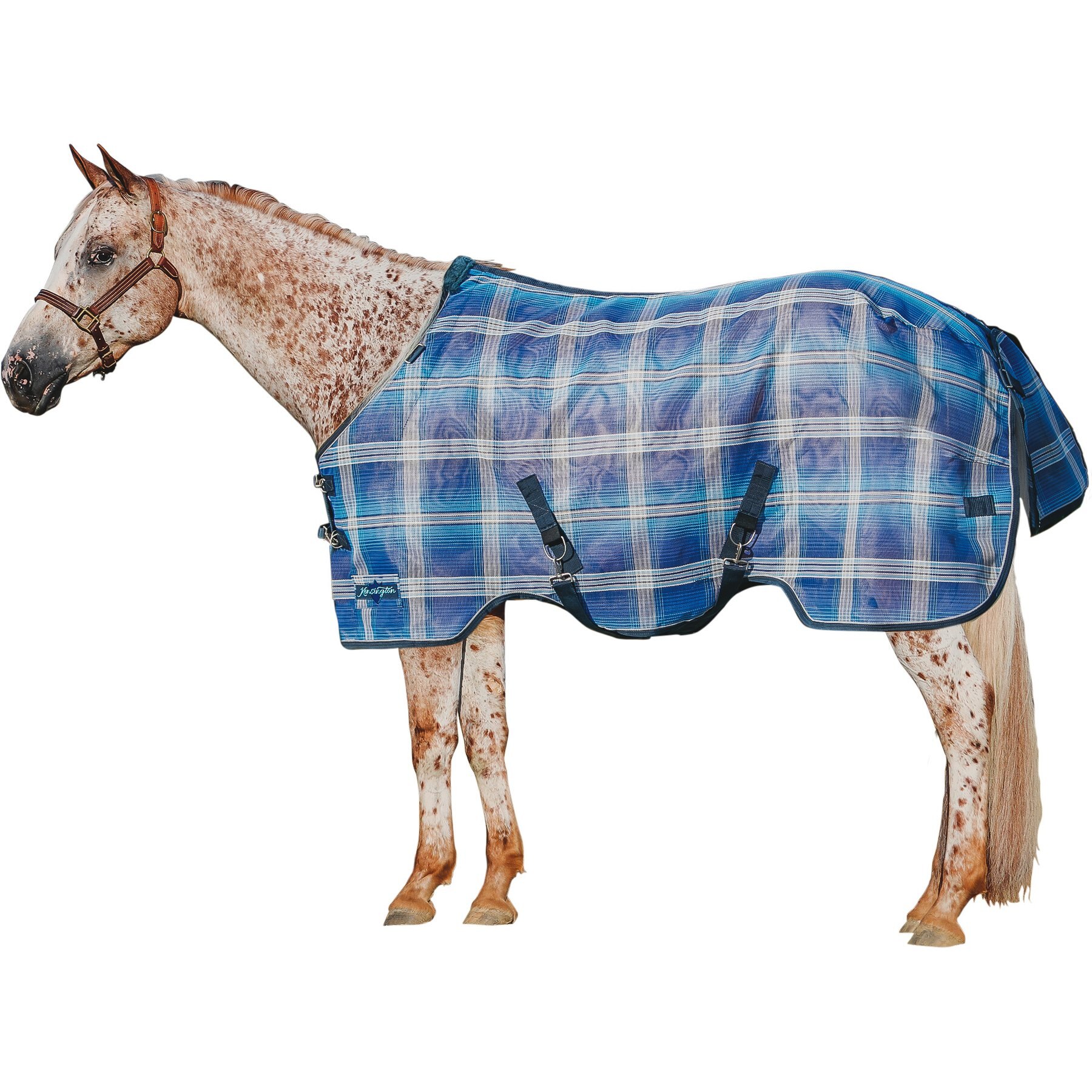 Kensington Protective Products UV Protective Horse Fly Sheet, 84-in, Kentucky Blue