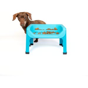 Fluff Trough Binge Blocker Elevated Dog & Cat Slow Feeder, Teal