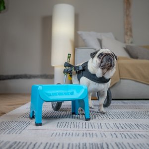 Fluff Trough Binge Blocker Elevated Dog & Cat Slow Feeder, Teal