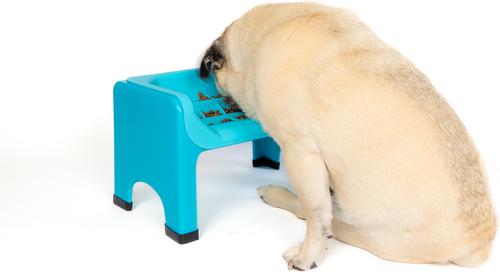 Show full view: Fluff Trough Binge Blocker Elevated Dog & Cat Slow Feeder, Teal slide 3 of 7