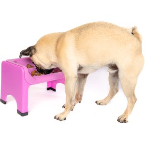 Fluff Trough Binge Blocker Elevated Dog & Cat Slow Feeder, Purple