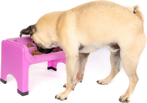Show full view: Fluff Trough Binge Blocker Elevated Dog & Cat Slow Feeder, Purple slide 3 of 7