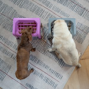 Fluff Trough Binge Blocker Elevated Dog & Cat Slow Feeder, Purple