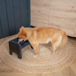 Fluff Trough Binge Blocker Elevated Dog & Cat Slow Feeder, Black