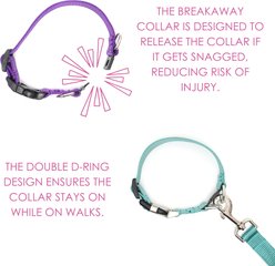 Mimi Green Breakaway Personalized Nylon Dog Collar with Black Plastic Buckle, Raspberry, Medium: 12 to 15-in neck, 3/4-in wide slide 2 of 3