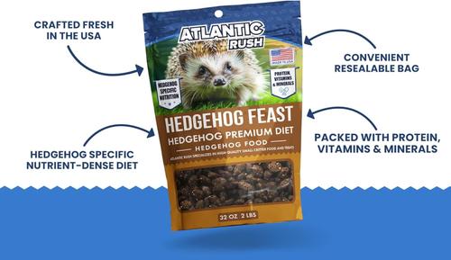 Show full view: Atlantic Rush Hedgehog Feast Premium Diet Hedgehog Food, 32-oz bag slide 2 of 9