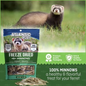 Atlantic Rush Freeze-Dried Minnow Ferret Treats, 0.5-oz bag