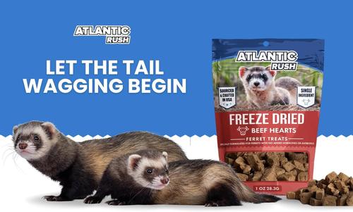 Show full view: Atlantic Rush Freeze-Dried Beef Heart Small Animal Treats, 1-oz bag slide 4 of 9