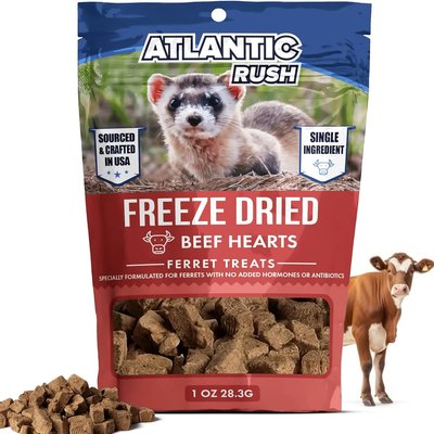 Atlantic Rush Atlantic Rush Freeze-Dried Beef Heart Small Animal Treats, 1-oz bag