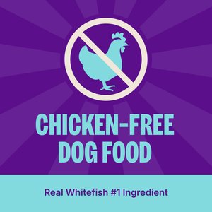 Wellness Complete Health Adult Whitefish & Sweet Potato Recipe Dry Dog Food, 30-lb bag