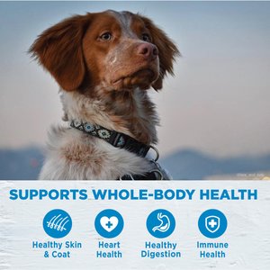 Wellness Simple Limited Ingredient Adult Wholesome Grains Natural Salmon & Potato Dry Dog Food, 24-lb bag