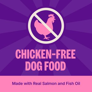 Wellness Simple Limited Ingredient Adult Wholesome Grains Natural Salmon & Potato Dry Dog Food, 24-lb bag