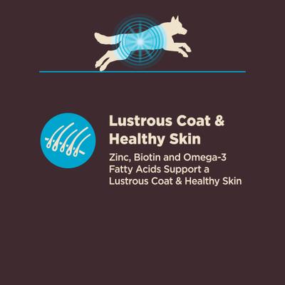 Show full view: Wellness CORE Digestive Health Wholesome Grains Whitefish & Brown Rice Recipe Dry Dog Food, 4-lb bag slide 7 of 13