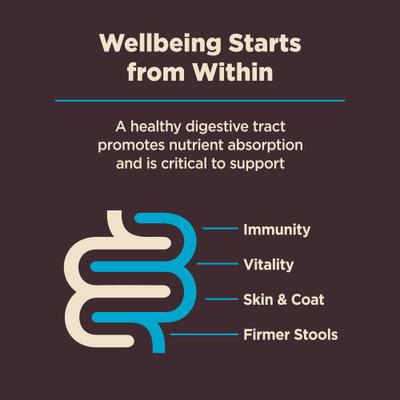 Show full view: Wellness CORE Digestive Health Wholesome Grains Whitefish & Brown Rice Recipe Dry Dog Food, 4-lb bag slide 8 of 13