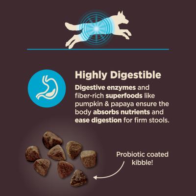 Show full view: Wellness CORE Digestive Health Wholesome Grains Whitefish & Brown Rice Recipe Dry Dog Food, 4-lb bag slide 5 of 13