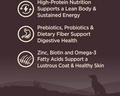 Wellness CORE Wholesome Grains Ocean Recipe High Protein Dry Dog Food, 22-lb bag slide 2 of 9