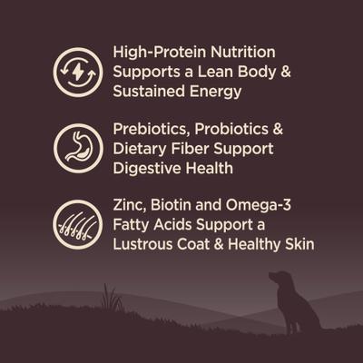 Show full view: Wellness CORE Wholesome Grains Ocean Recipe High Protein Dry Dog Food, 4-lb bag slide 4 of 13