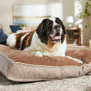 Frisco Orthopedic Pillow Cat & Dog Bed with Removable Cover, Beige, XXX-Large
